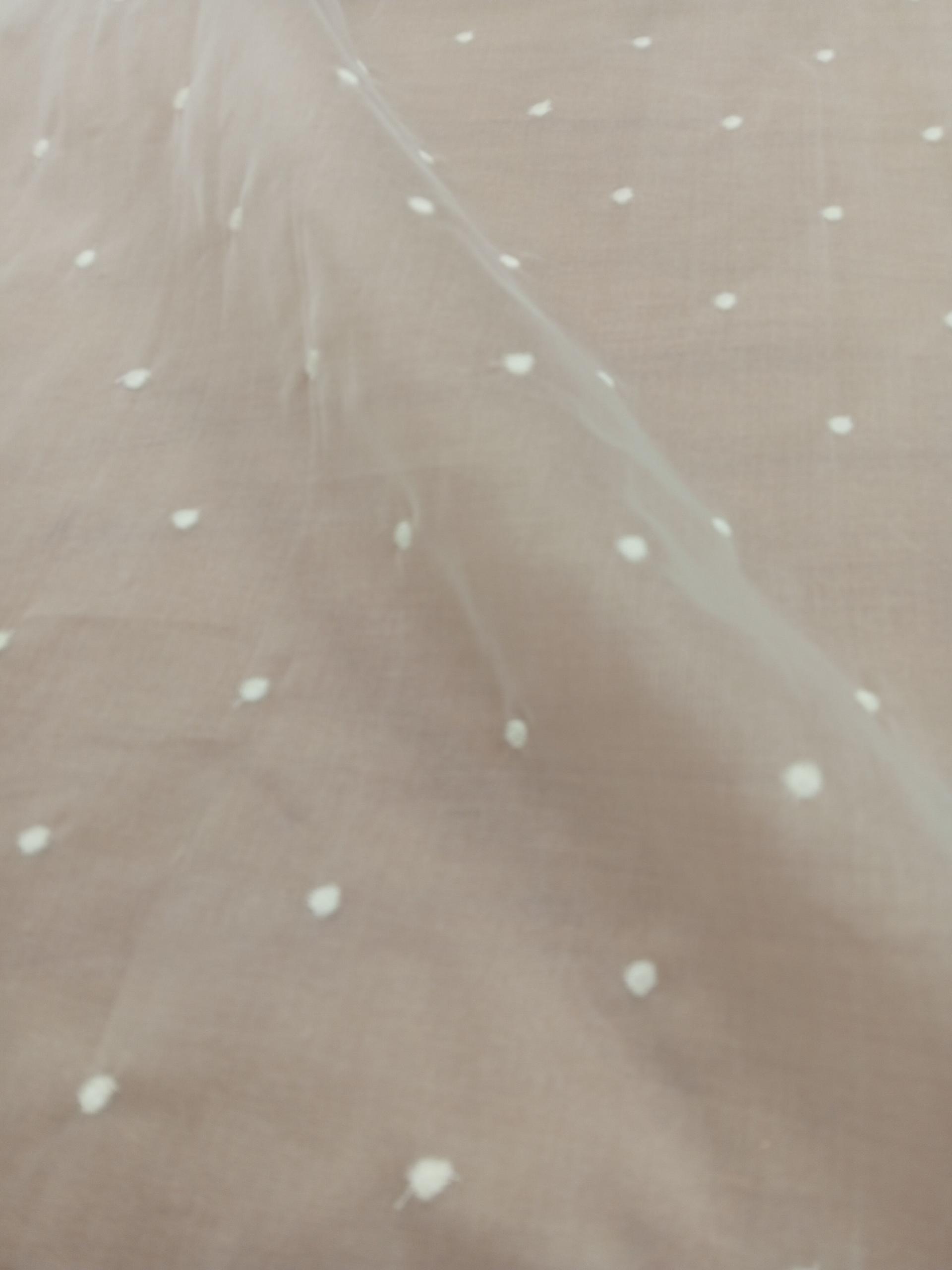 Embroidered Silk Organza - ME152 - 100% Silk base - 1 Col